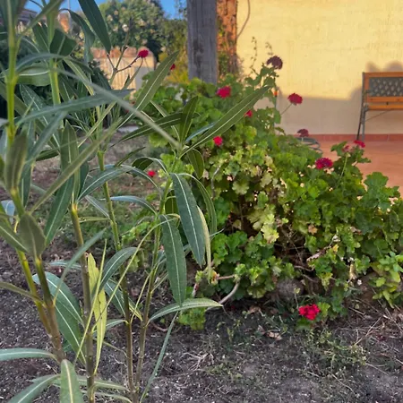 Apartmán Casa Gallura Porto Pollo Barrabisa